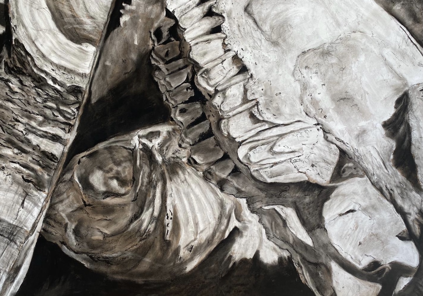 Charcoal and white acryllic artwork of a Skull and fish