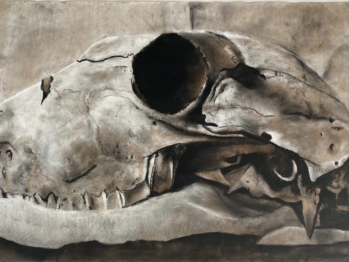 Charcoal and white acryllic artwork of a Skull