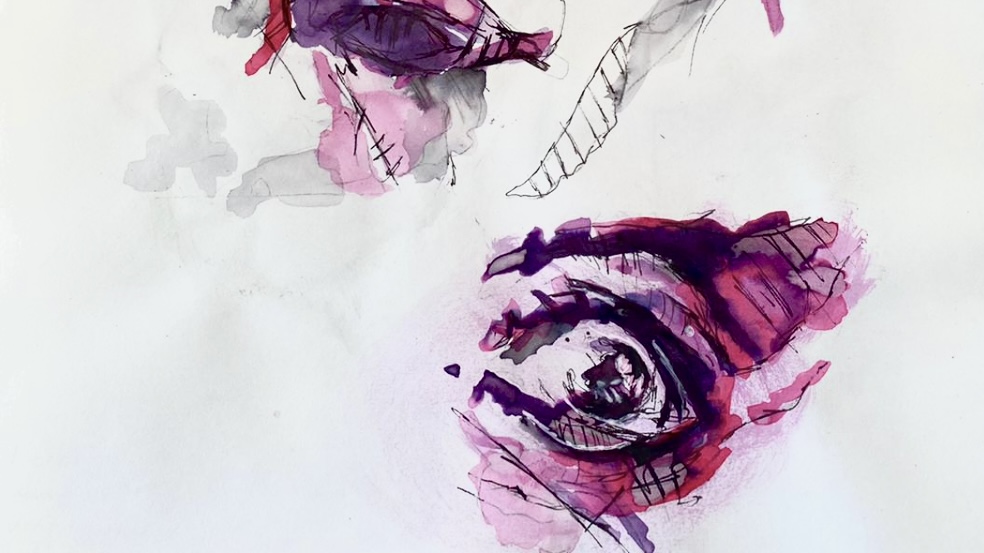 water colour and continous line art